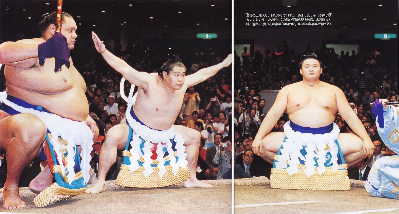 3yokozuna_iri_wakadanpatsu.jpg
