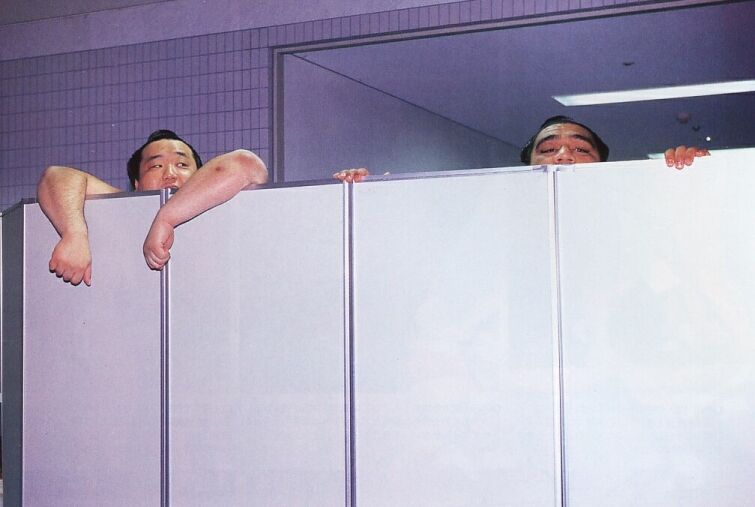 peek.jpg